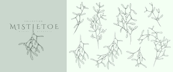 Mistletoe Floral logo and branch set. Hand drawn line winter plant, herb with elegant leaves for christmas invitation, save the date card. Botanical rustic trendy greenery