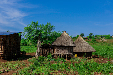 Fototapeta na wymiar Panoramic View to the Tribal Wooden Dwellings among Green Grass and Trees in African Omo River Valley, Ethiopia