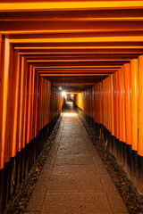 The Senbon Torii, Thousands Torii Gate, at Fushimi Inari Taisha Shinto shrine at night.