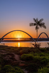 Sunset at JK Bridge in Brasília, Brazil. Silhouette of a palm tree on the shore of Lake Paranoá.