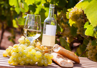 glass of White wine ripe grapes and bread on table in vineyard