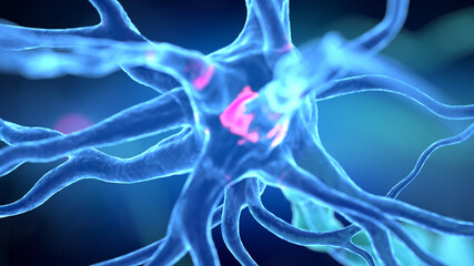 3d rendered illustration of a human nerve cell