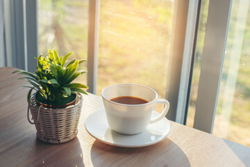 Fototapeta na wymiar Cup of coffee and plant place on office desk in morning