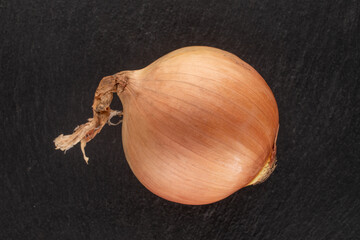 One bright golden onion on a slate stone, close-up, top view.