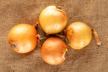 Four bright golden onions on sacking, close-up, top view.