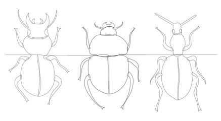 beetle, sketch drawing by one continuous line, vector