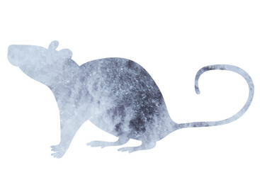 gray mouse watercolor silhouette isolated, vector