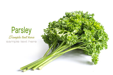 Fresh green parsley organic vegetable isolated on white background with copy space.