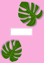 Monstera foliage on pink background. Middle board for your title. 