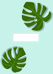 Monstera foliage on light blue background. Middle board for your title. 
