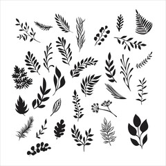 Sketch branch of leaves by hand on an isolated background