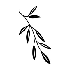 Sketch branch of leaves by hand on an isolated background