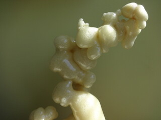 Polyurethane Foam