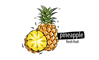 Drawn vector pineapple on a white background