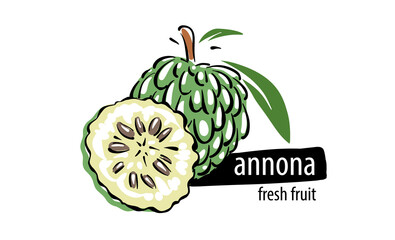 Drawn vector annona on a white background