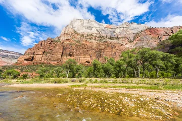 Poster Panorama of Zion © Fyle