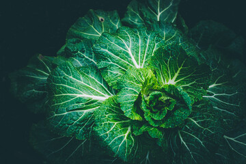Kohl