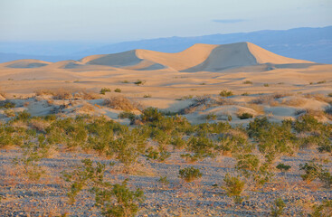 Sunrise at Mesquite Flat Dunes, Death Valley National Park, California