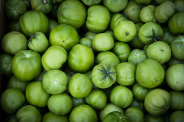 Pile of raw natural grown green tomatoes