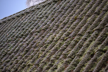Dach mit Moos