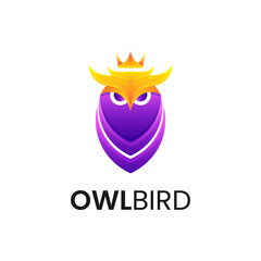 Owl colorful Design concept Illustration logo vector.

