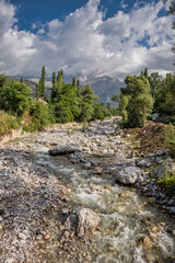 Fototapeta na wymiar Stream in the rural mountains in Kyrgyztan