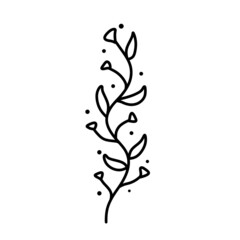 Branch of plant. Leaves in line style. Black and white natural illustration. Sketch Minimalism and simple flora.