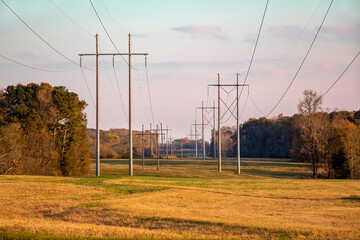 Two sets of tall overhead utility lines stretch into the distance through farmland in rural...