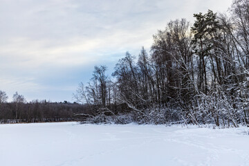 Landscape of the middle latitudes, Russia, a field in the snow in winter