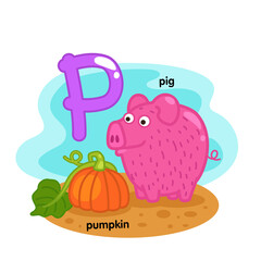 Fototapeta premium Alphabet Isolated Letter P-pig-pumpkin illustration,vector