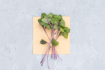 Flat lay top view of fresh red cabbage microgreens on gray concrete background. Healthy lifestyle. Growing sprouts. Green living concept. Organic food.