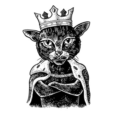 Cat king with paws crossed dressed in the mantle and crown. Vintage black engraving