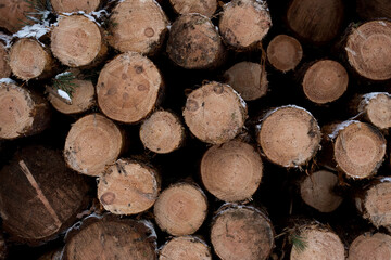 Closeup of industrial lumber piled high, ready for transportation.