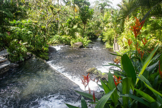 The  Hot River At Tabacon Hot Springs, La Fortuna, Costa Rica