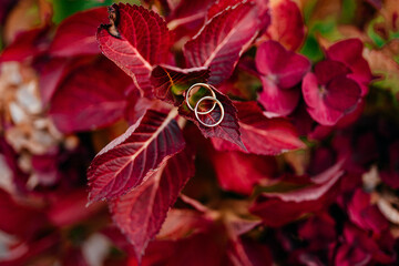 Zwei Ringe auf einer roten Blume