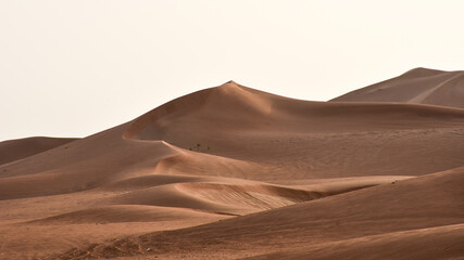 Fototapeta na wymiar Amazing view of sand dunes in the desert of Al Ain, Abu Dhabi, UAE.