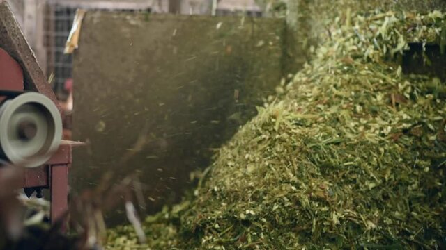 Trituradora de pasto en funcionamiento
