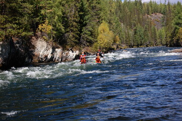 Team of people on a sport catamaran rafting on white water. Kyzyl-Khem river, Sayan Mountains, Russia.