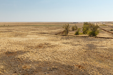 steppe in Kazakhstan, dry grass and bushes, steppe landscape