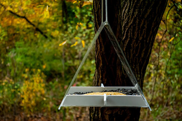 feeder in the autumn
