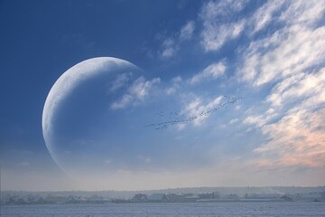 Fototapeta na wymiar moon and cranes in winter, cataclysm , climate change of the planet