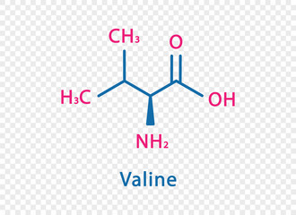 Valine chemical formula. Valine structural chemical formula isolated on transparent background.