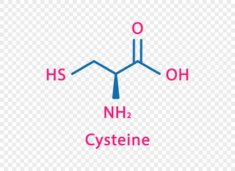 Cysteine chemical formula. Cysteine structural chemical formula isolated on transparent background.