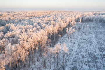 Hoarfrost: frozen forest clearance