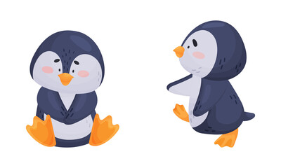 Cute Penguin Arctic Animal Waddling and Sitting Vector Set