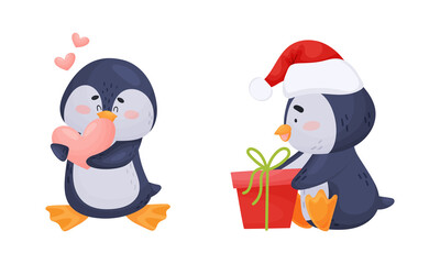 Cute Penguin Arctic Animal Holding Heart and Unwrapping Gift Box Vector Set