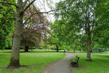 Scenic view of a winding path through a beautiful green park