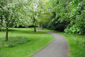 Scenic view of a winding path through a beautiful green park
