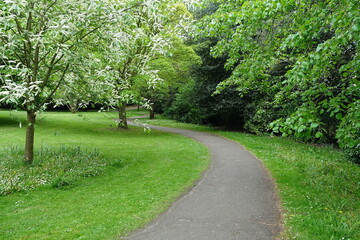 path in the park