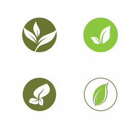 Leaf icon Vector Illustration design Logo template